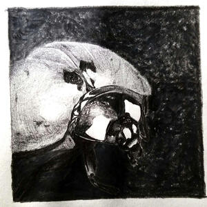 LADYBUG STUDY - pencil