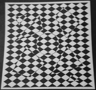 OPTICAL ILLUSION STUDY - permanent marker