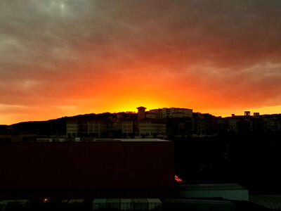 sunset
