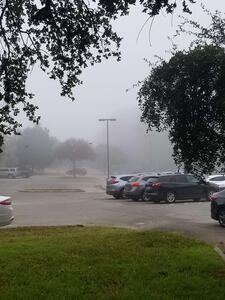 fog